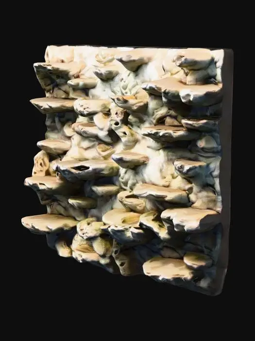 3D model for Stone Cliff Display