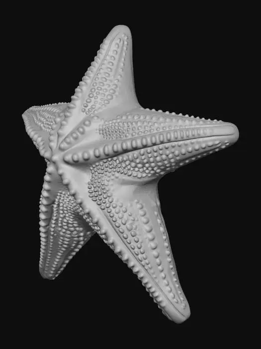 3D model for A three-dimensional model of a starfish, designed to be 3D print-ready. It features five symmetrical arms extending from a central disk, with a slightly raised, detailed upper surface showcasing texture like small tubercles or spines. The entire model is meticulously designed for printability, with clean, defined edges and smooth transitions between surfaces. Crucially, its underside is perfectly flat and planar, ensuring optimal adhesion and stability during the 3D printing process.