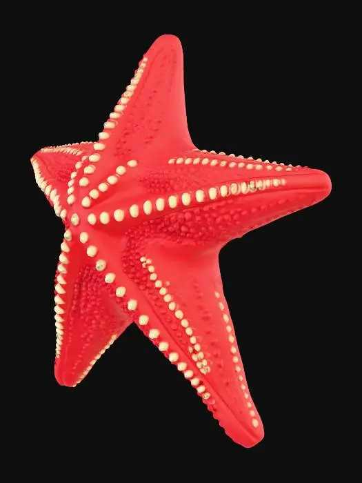 3D model for A three-dimensional model of a starfish, designed to be 3D print-ready. It features five symmetrical arms extending from a central disk, with a slightly raised, detailed upper surface showcasing texture like small tubercles or spines. The entire model is meticulously designed for printability, with clean, defined edges and smooth transitions between surfaces. Crucially, its underside is perfectly flat and planar, ensuring optimal adhesion and stability during the 3D printing process.