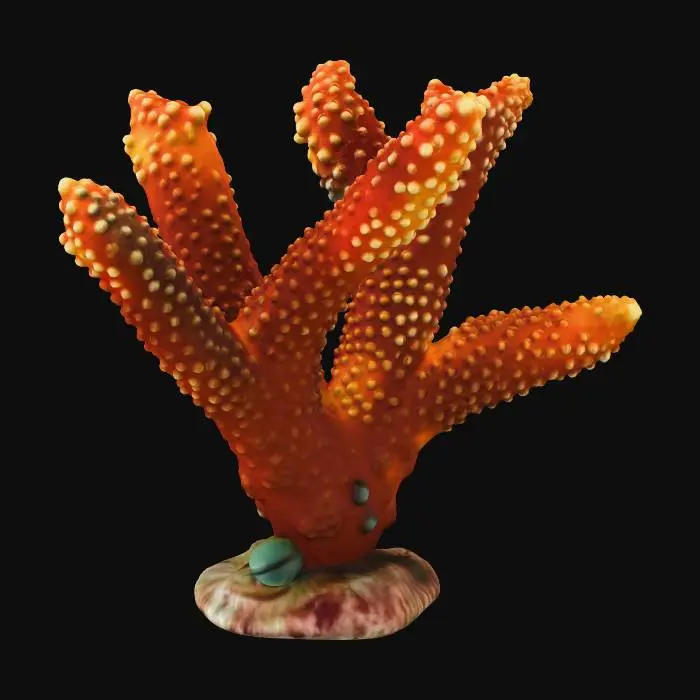 3D model for Coral Majesty