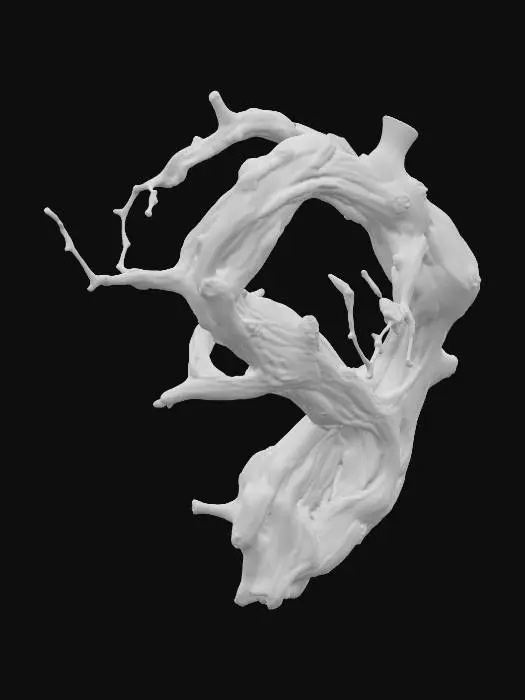 3D model for "A realistic grapevine branch, about 1–1.5 meters long, with twisted irregular shape and rough brown bark. The wood surface shows deep ridges, knots, and a fibrous texture typical of old vine wood. Several smaller shoots extend from the branch, some ending in tiny buds, but no leaves or grapes. The branch should look like a real piece of grapevine, gnarled and aged, with natural asymmetry. Realistic high-detail textures emphasizing the cracked bark, twisted form, and wooden grain. Standalone model, no background."