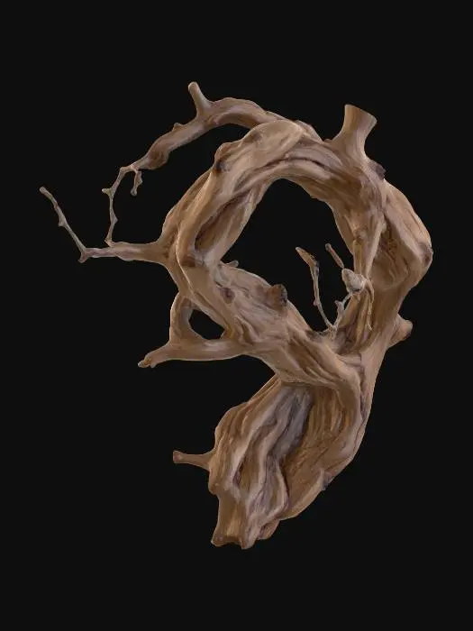 3D model for "A realistic grapevine branch, about 1–1.5 meters long, with twisted irregular shape and rough brown bark. The wood surface shows deep ridges, knots, and a fibrous texture typical of old vine wood. Several smaller shoots extend from the branch, some ending in tiny buds, but no leaves or grapes. The branch should look like a real piece of grapevine, gnarled and aged, with natural asymmetry. Realistic high-detail textures emphasizing the cracked bark, twisted form, and wooden grain. Standalone model, no background."