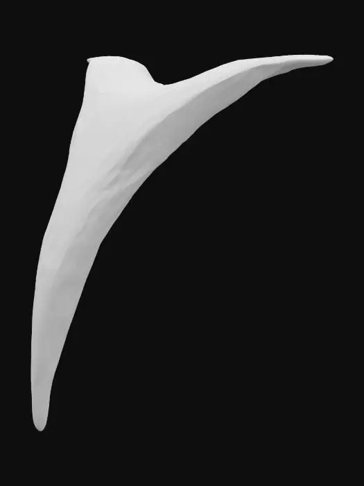 3D model for Silver Wave
