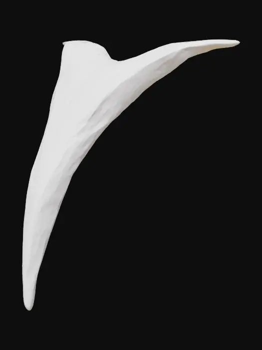 3D model for Silver Wave