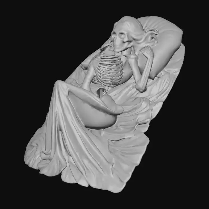 3D model for skeliton in bed