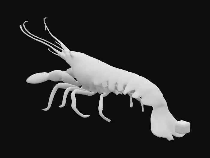 3D model for Create a realistic 3D model of a spiny lobster, focusing on detailed anatomy and lifelike textures. Include a segmented, rugged exoskeleton with vibrant orange and reddish hues, transitioning to darker tones at the edges. Add long, curved antennae, articulated legs with visible joints and spines, and sensory hairs. The abdomen should feature distinct segments, and the fan-shaped tail should display bright orange tones with detailed patterns. Apply subtle gloss for a wet, aquatic look.