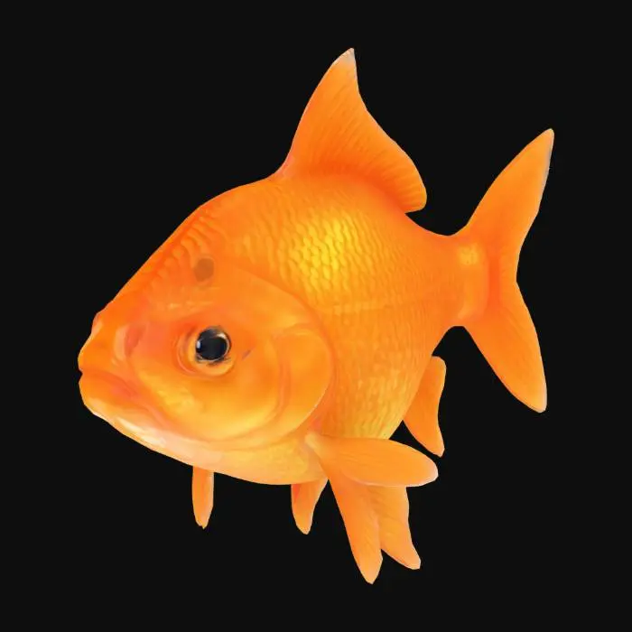 3D model for Golden Dream