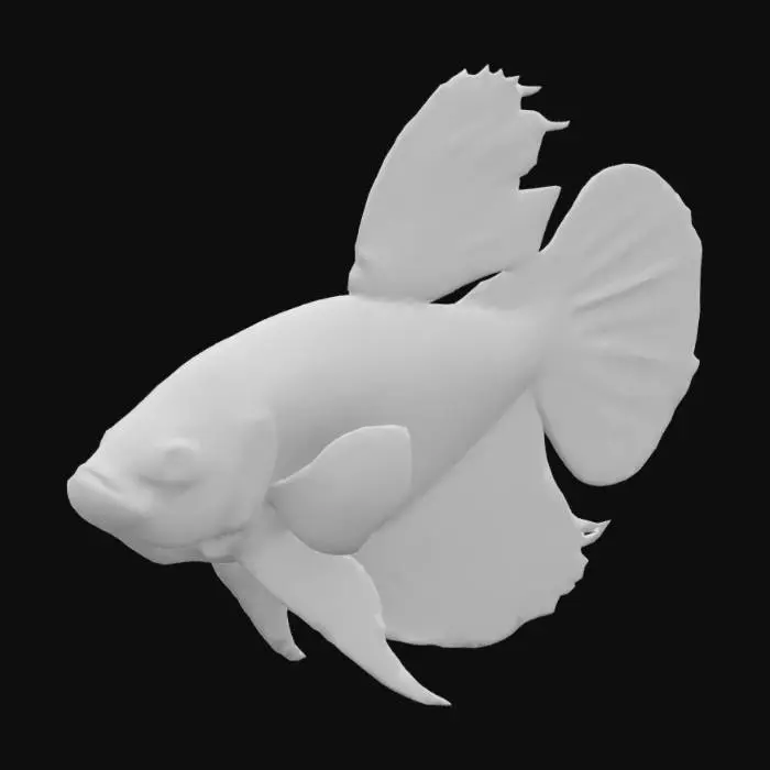 3D model for Vibrant Serenity