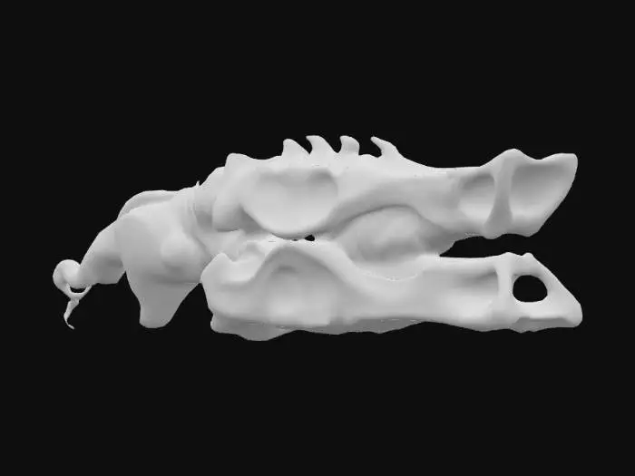 3D model for Scorn organic weapon