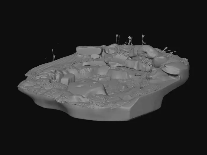 3D model for Rocky Pond Oasis