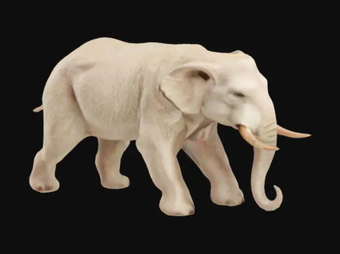 3D model for polarhant 