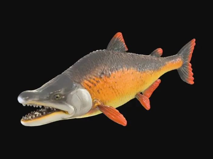 3D model for Salmonidae Fantasy Fish