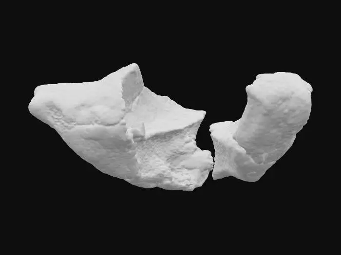 3D model for A broken sandstone rib segment, presenting a distinct missing chunk on one end, revealing the raw, fractured interior of the rock. The remaining edge around this void features a jagged, fractured lip, indicating natural breakage and erosion. Despite the damage, its layered sedimentary strata maintain a consistent direction, suggesting its origin from a larger, continuous formation. Composed of granular sandstone, it exhibits warm ochre and reddish-brown tones, with a rough, weathered texture across its fragmented form.