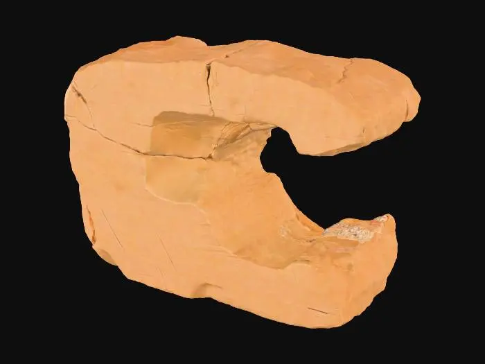 3D model for A broken sandstone rib segment, presenting a distinct missing chunk on one end, revealing the raw, fractured interior of the rock. The remaining edge around this void features a jagged, fractured lip, indicating natural breakage and erosion. Despite the damage, its layered sedimentary strata maintain a consistent direction, suggesting its origin from a larger, continuous formation. Composed of granular sandstone, it exhibits warm ochre and reddish-brown tones, with a rough, weathered texture across its fragmented form.