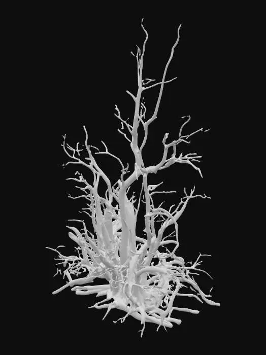 3D model for A dead desert shrub, standing approximately 0.7 meters tall, forms a desolate, tangled mass of dry, skeletal twigs with no remaining leaves. Its woody structure is severely sun-bleached, exhibiting faded, pale grays and desaturated browns, giving it an aged, brittle appearance. Many twigs are snapped and broken, creating sharp, uneven ends that add to its desolate character. The texture is uniformly dry and rough to the touch, feeling fragile and easily splintered.