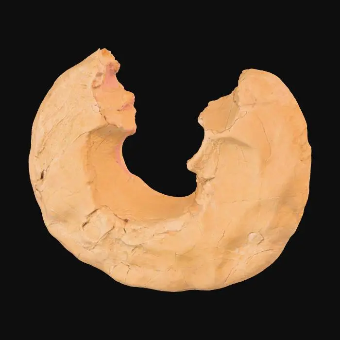 3D model for A broken sandstone rib segment, presenting a distinct missing chunk on one end, revealing the raw, fractured interior of the rock. The remaining edge around this void features a jagged, fractured lip, indicating natural breakage and erosion. Despite the damage, its layered sedimentary strata maintain a consistent direction, suggesting its origin from a larger, continuous formation. Composed of granular sandstone, it exhibits warm ochre and reddish-brown tones, with a rough, weathered texture across its fragmented form.