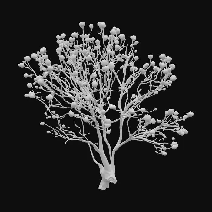 3D model for An arid, saltbush-like shrub stands approximately 0.8 meters tall, forming a dense, irregular bush. It is characterized by a multitude of thin, wiry twigs that branch outwards, supporting a profusion of small, oval-shaped leaves. The foliage possesses a distinct, muted gray-green coloration, heavily overlaid with a fine, pale dusty appearance, giving it a parched and subtle matte finish. Its texture feels dry and slightly brittle to the touch, with the woody twigs providing a rougher, gnarled tactile quality.