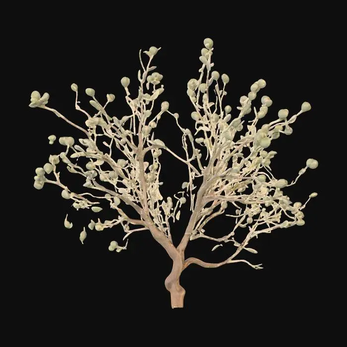 3D model for An arid, saltbush-like shrub stands approximately 0.8 meters tall, forming a dense, irregular bush. It is characterized by a multitude of thin, wiry twigs that branch outwards, supporting a profusion of small, oval-shaped leaves. The foliage possesses a distinct, muted gray-green coloration, heavily overlaid with a fine, pale dusty appearance, giving it a parched and subtle matte finish. Its texture feels dry and slightly brittle to the touch, with the woody twigs providing a rougher, gnarled tactile quality.