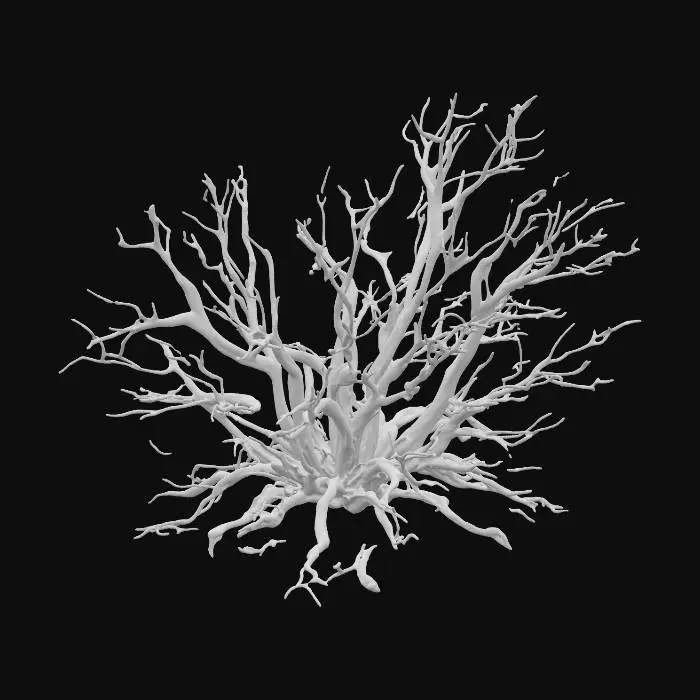 3D model for A dead desert shrub, standing approximately 0.7 meters tall, forms a desolate, tangled mass of dry, skeletal twigs with no remaining leaves. Its woody structure is severely sun-bleached, exhibiting faded, pale grays and desaturated browns, giving it an aged, brittle appearance. Many twigs are snapped and broken, creating sharp, uneven ends that add to its desolate character. The texture is uniformly dry and rough to the touch, feeling fragile and easily splintered.