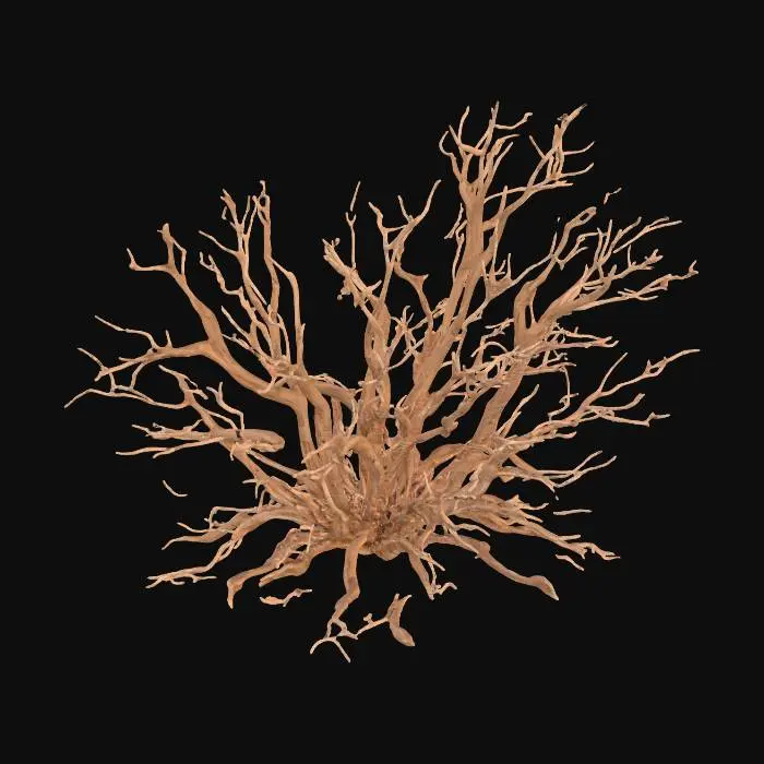 3D model for A dead desert shrub, standing approximately 0.7 meters tall, forms a desolate, tangled mass of dry, skeletal twigs with no remaining leaves. Its woody structure is severely sun-bleached, exhibiting faded, pale grays and desaturated browns, giving it an aged, brittle appearance. Many twigs are snapped and broken, creating sharp, uneven ends that add to its desolate character. The texture is uniformly dry and rough to the touch, feeling fragile and easily splintered.