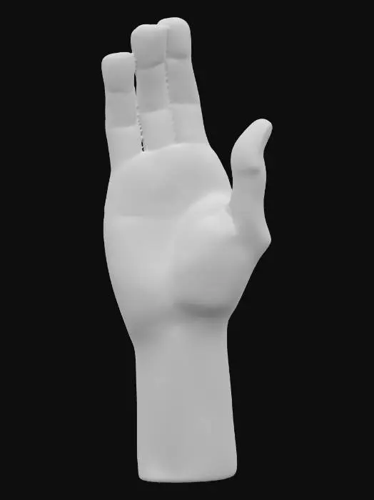 3D model for a hand, palm up, as if holding something