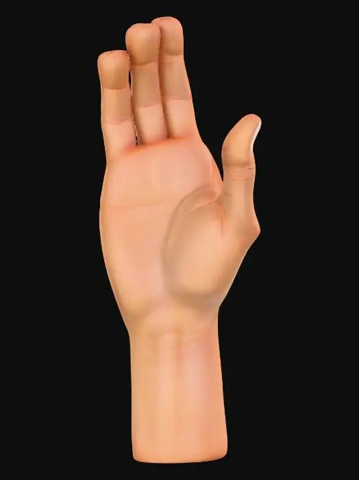 3D model for a hand, palm up, as if holding something
