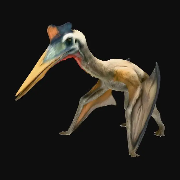 3D model for Quetzalcoatlus