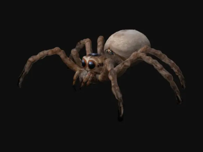 3D model for Giant spider multiple eyes