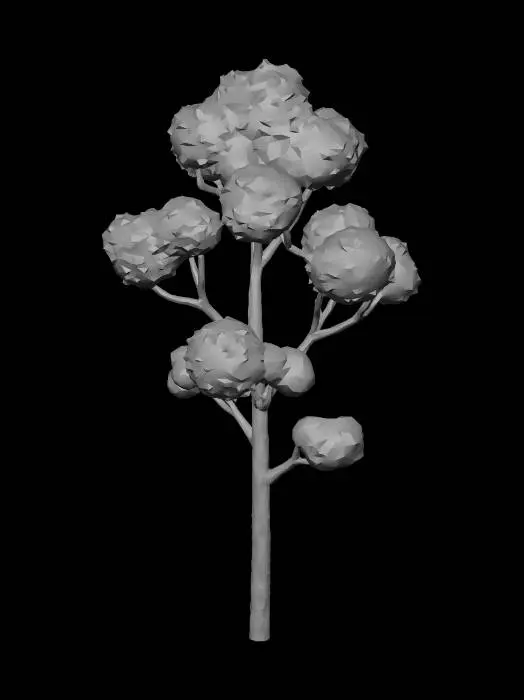 3D model for Birch Tree