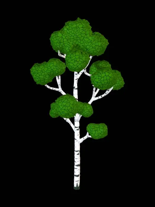 3D model for Birch Tree