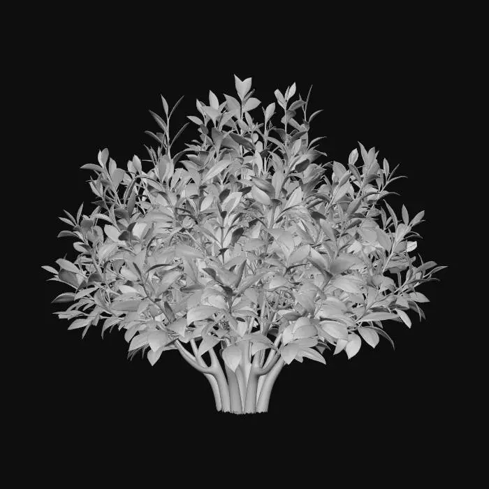 3D model for Verdant Bush