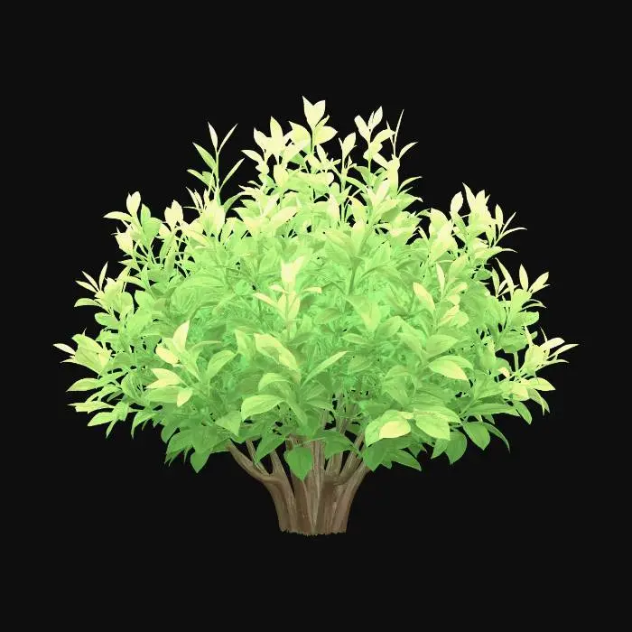 3D model for Verdant Bush