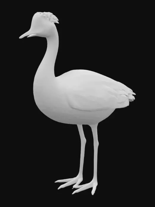 3D model for Create a 3D model of a great crested grebe (Podiceps cristatus). Focus on its distinctive features: a long, slender body with dark brown and black plumage on the back and wings, transitioning to white on the underside. The bird has a striking black crest on its head, with a reddish-orange patch around the neck. Its sharp, long beak is black, and it has elegant, slender legs. The model should capture the graceful and streamlined form, emphasizing the bird's unique crest and vibrant plumage.