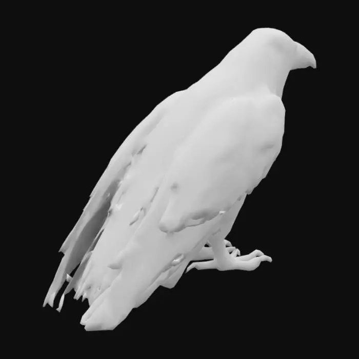 3D model for hyper-realistic 3D model of Eagle. Focus on capturing its grounded, commanding stance. Design layered feathers with smooth brown tones, detailed textures, and subtle gradients. Highlight the bird's sharp, hooked beak with a yellow base and darker tip. Model the talons with scaly textures and sharp black claws. Craft lifelike deep black eyes with glossy reflections. Ensure accurate anatomy, emphasizing its muscular frame and large wings. Pay attention to feather placement and natural proportions.