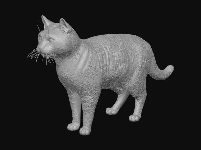3D model for Graceful Tabby