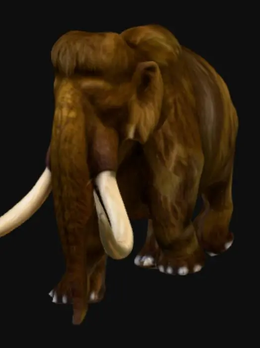 3D model for Mammoth Vision