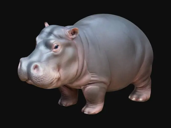 3D model for mo dang the baby hippo