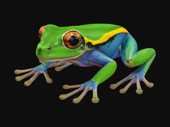 3D model for green dart frog on black background