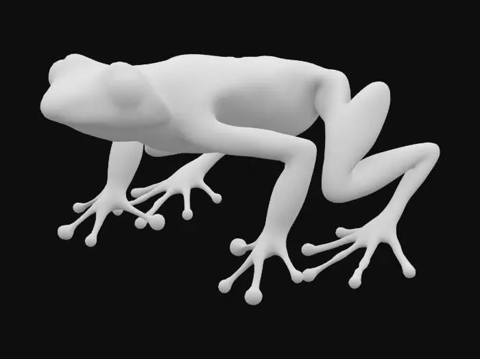 3D model for rainbow dart frog