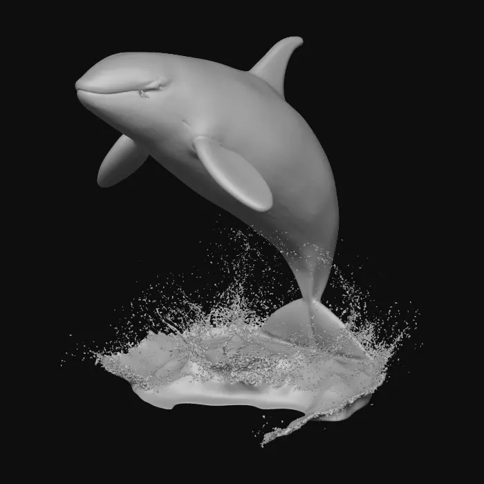 3D model for Orca Leap