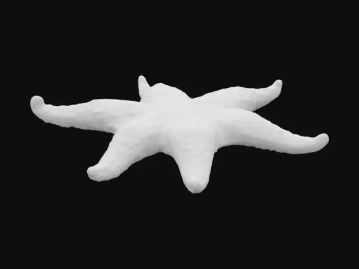 3D model for realistic starfish 

