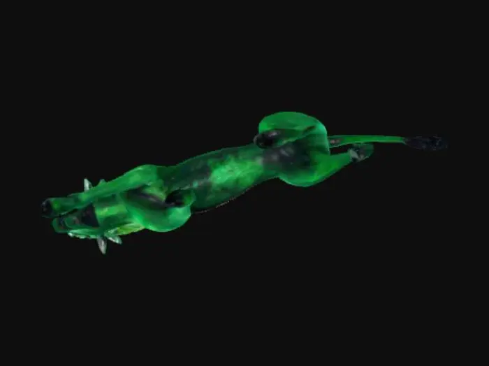 3D model for Centaur Vision