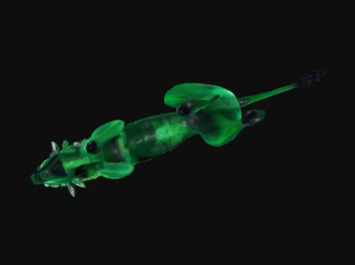 3D model for Centaur Vision