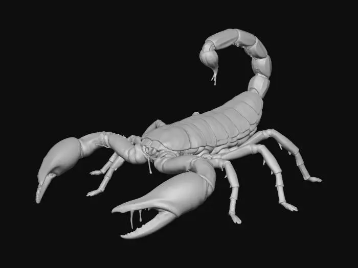 3D model for Escorpion