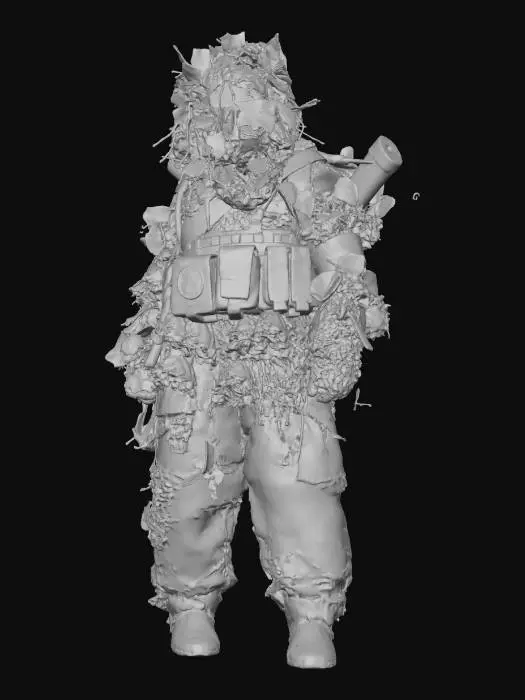 3D model for Camouflage Sentinel