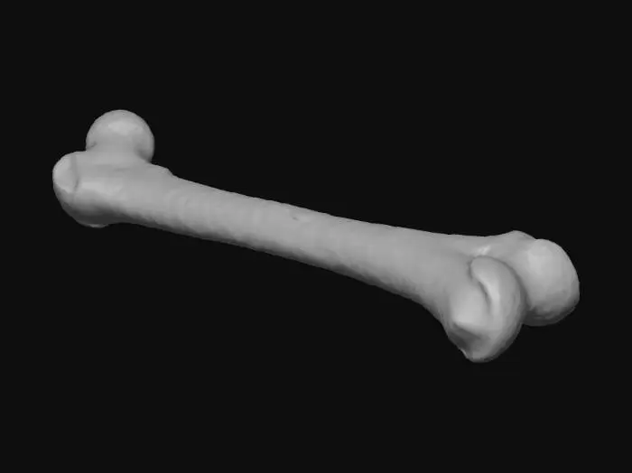 3D model for Femur Bone on Black Background
