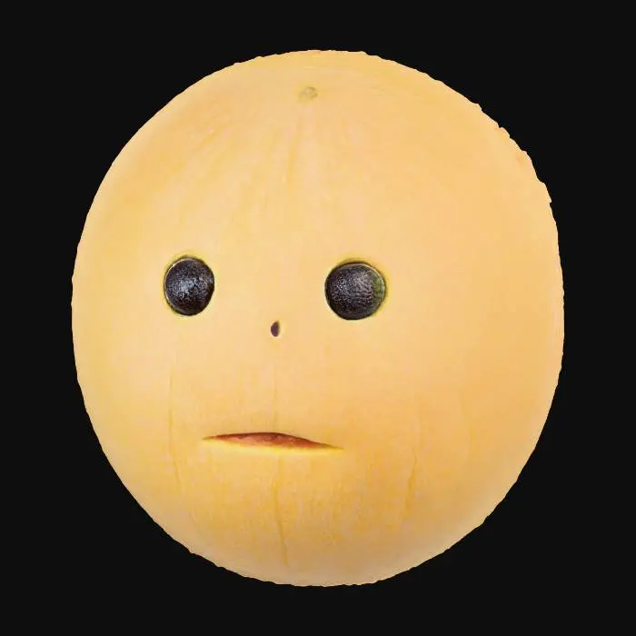 3D model for Melon Face