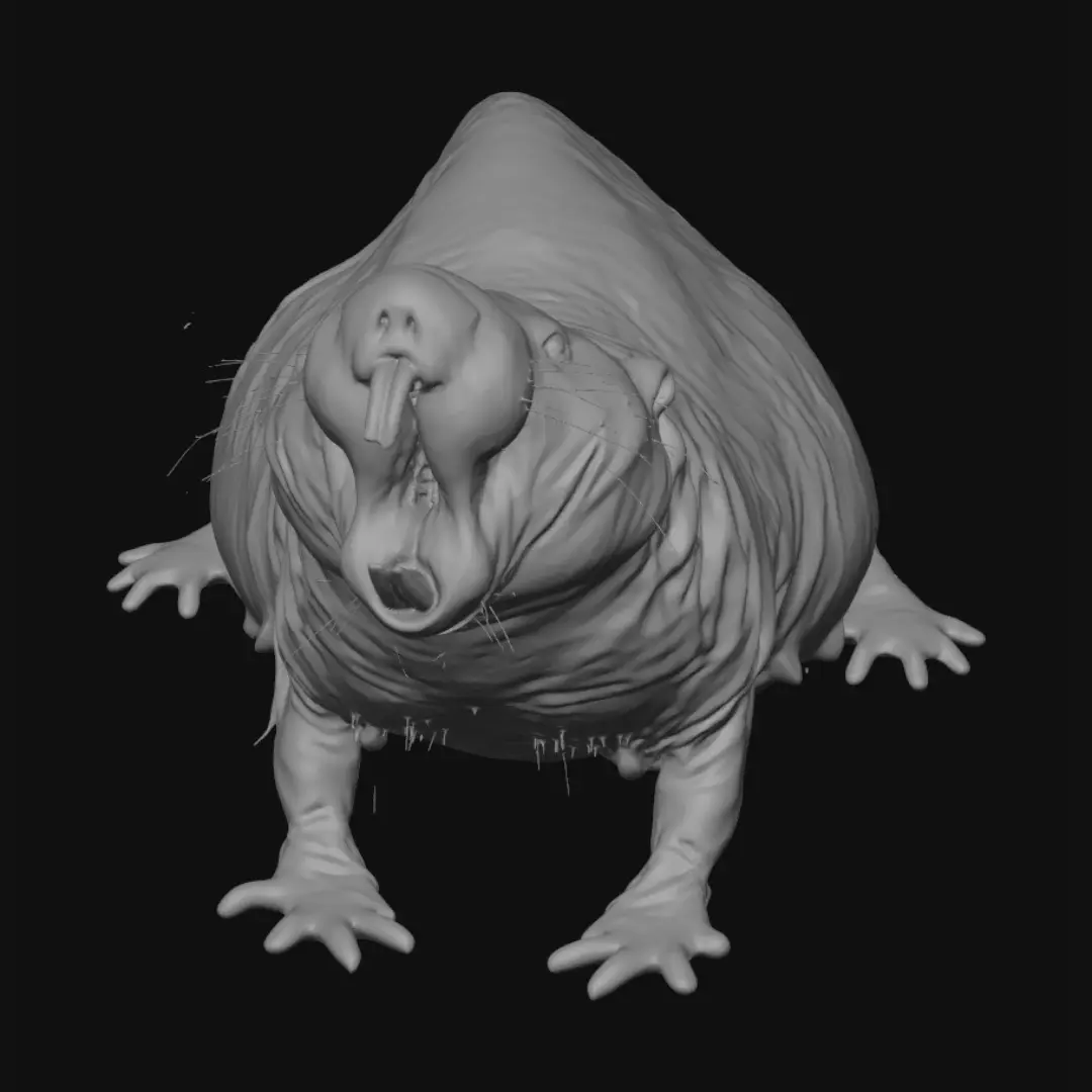 rodent