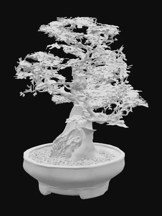 3D model for Serene Bonsai Essence