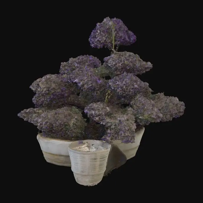 3D model for Lush Topiaries in the Tropics